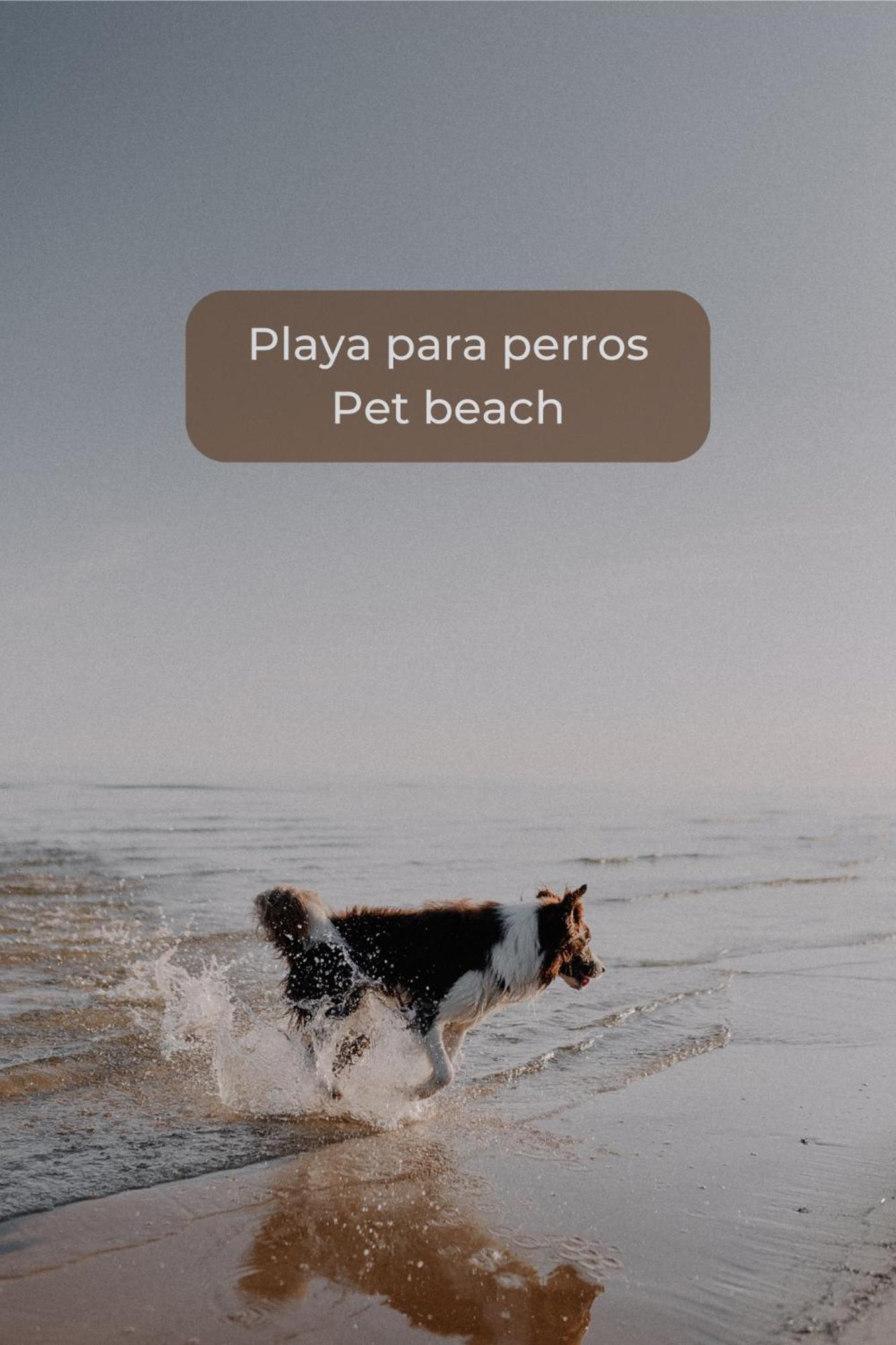 Canelita Con Piscina, Soleada Terraza Amplia Wifi Y Parking 코라레호 외부 사진